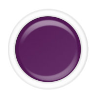 maiwell color gel anGELic - Eggplant (302)