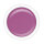 gel màu maiwell anGELic - Rose Rose 15ml