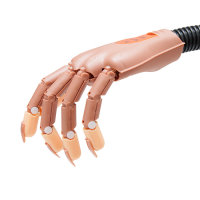 Mannequin Hand - Individually adjustable