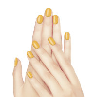 Sơn acrylic maiwell cho móng - Dark Yellow 14g