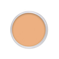 maiwell Acrylic color for nails - Light Orange 14g