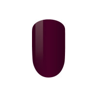 LeChat Perfect Match 2x15ml - Maroonscape