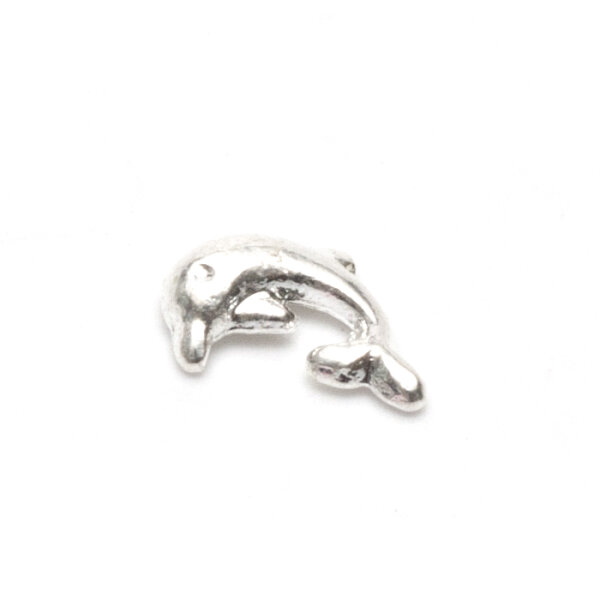 Dolphin piercing jewellery